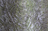 Knuzden Brook fibreglass roof work